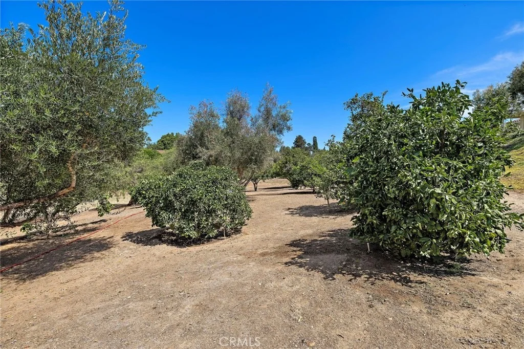 Photo of 647 tumble creek Lane
