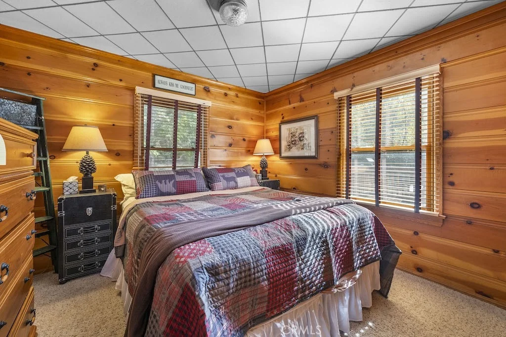 Photo of 39161 Buckthorn