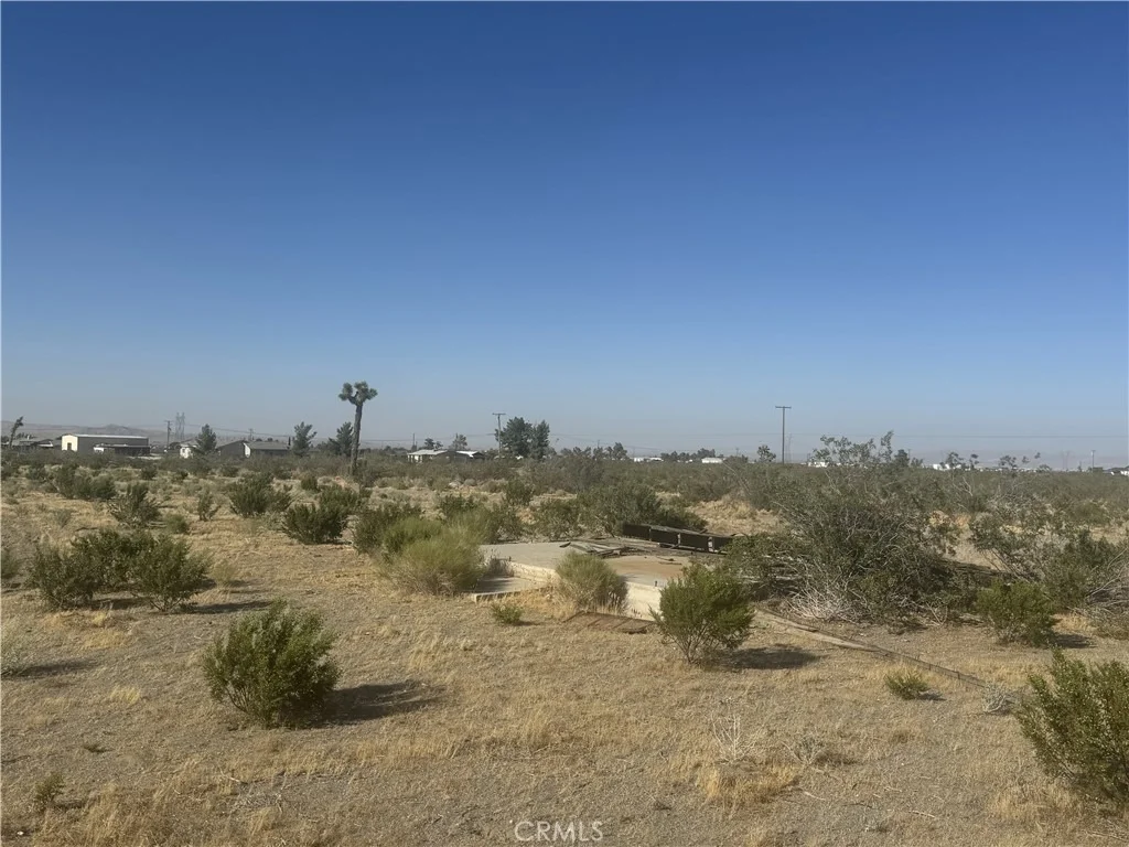 Photo of 4432 Camellia