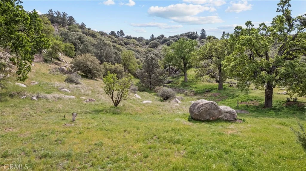 Photo of 29570 Butterfield
