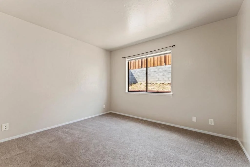 Photo of 76857695 Pine Tree