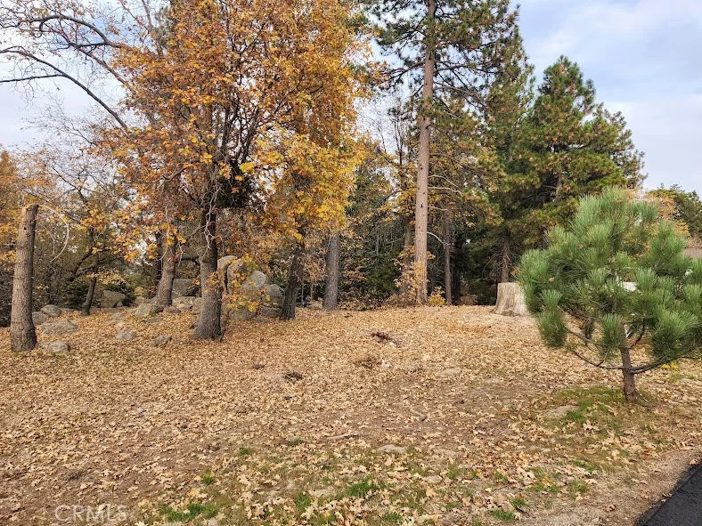 Photo of 32240 Whisper