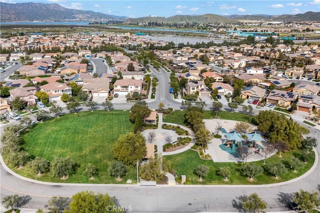 Photo of 29136 Tanoak