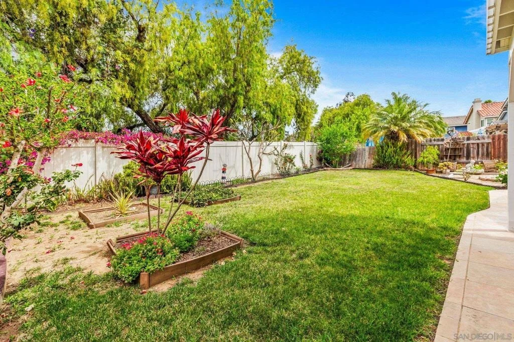 Photo of 647 Boysenberry