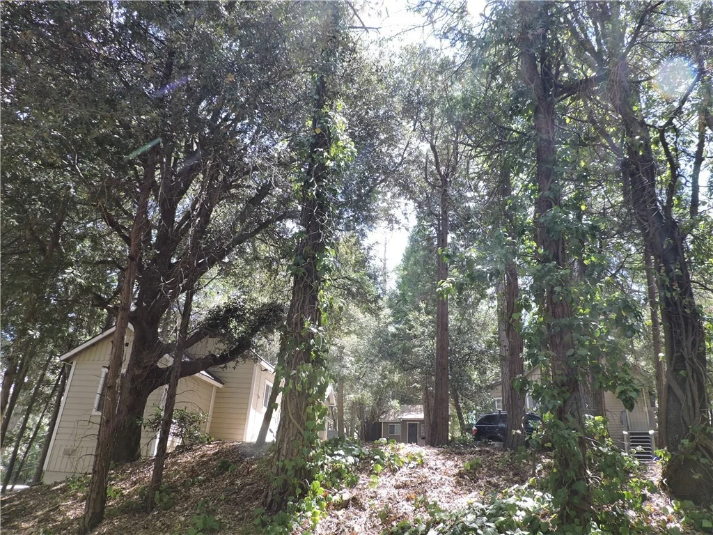 Photo of 657 Knoll