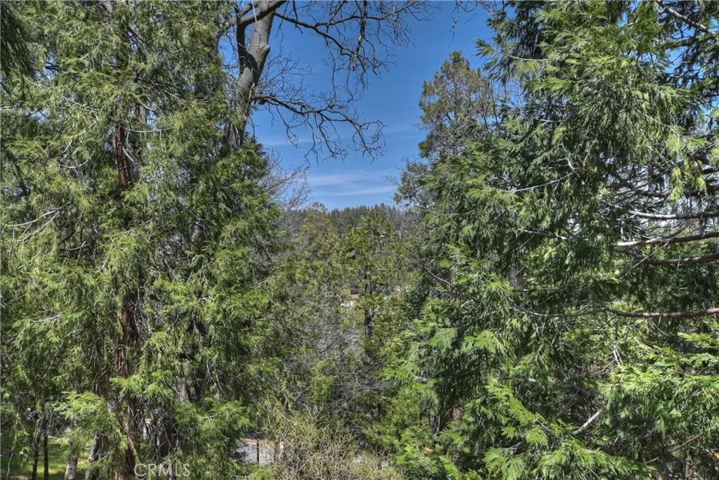 Photo of 24032 Alpine Drive