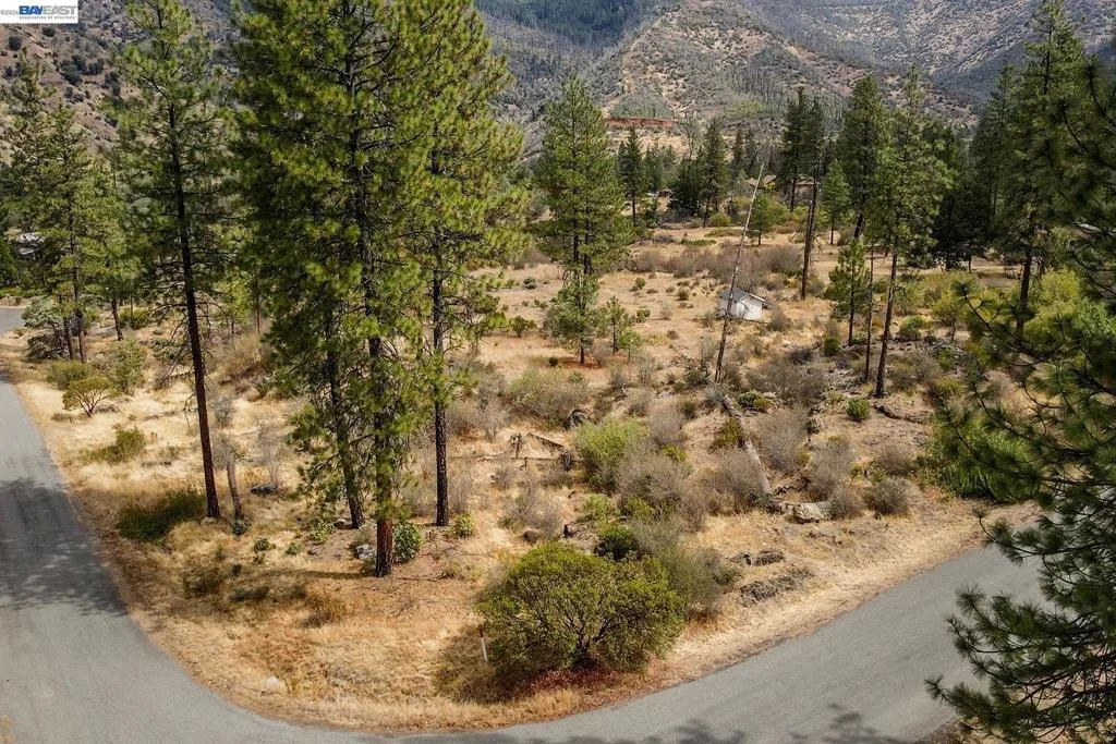 Photo of 2130 Wintu Pass Rd.