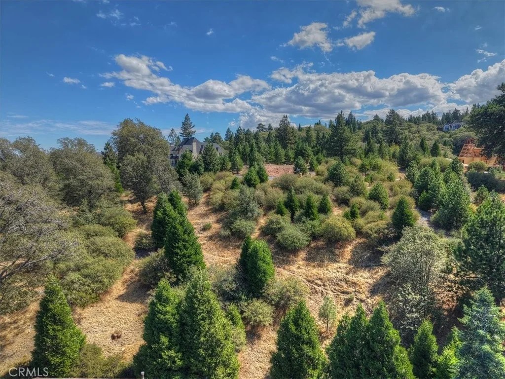 Photo of 202 Hidden Forest