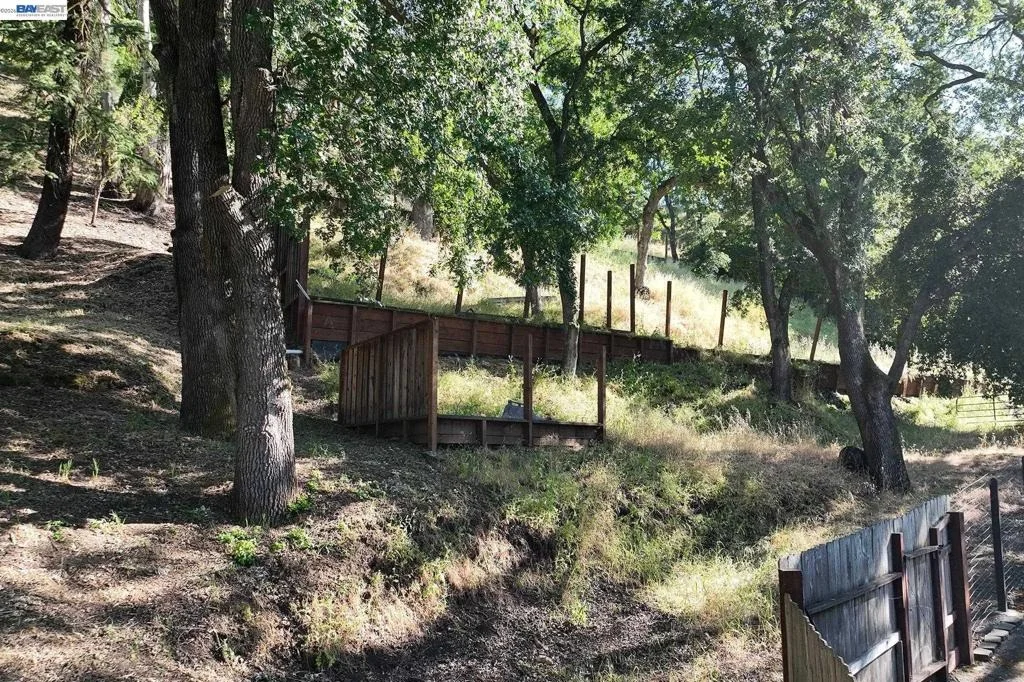 Photo of 247 Sequoia Ave