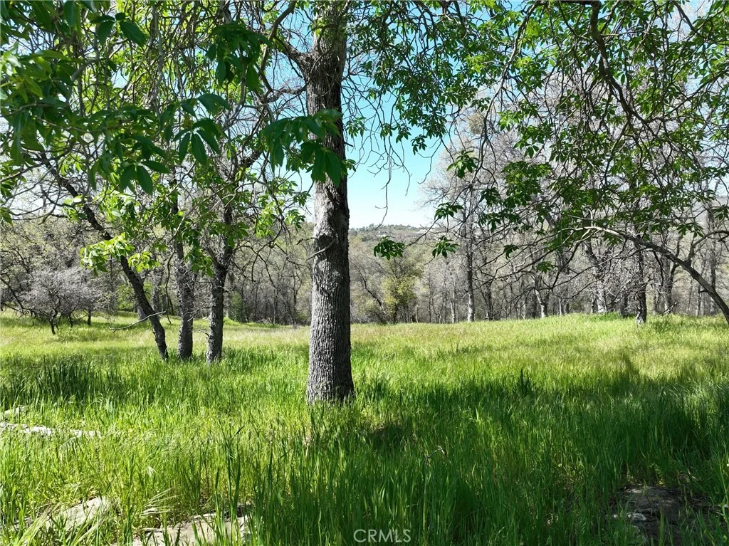 Photo of 18461 Old Wards Ferry Road