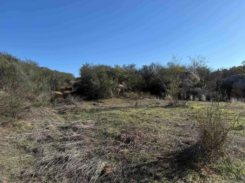 Photo of 12494 Buena Vida Rd