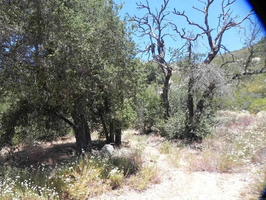 Photo of 9779 Deer Valley Trail