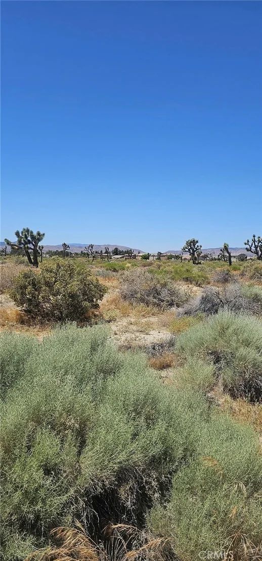 Photo of 0 E Palmdale Boulevard