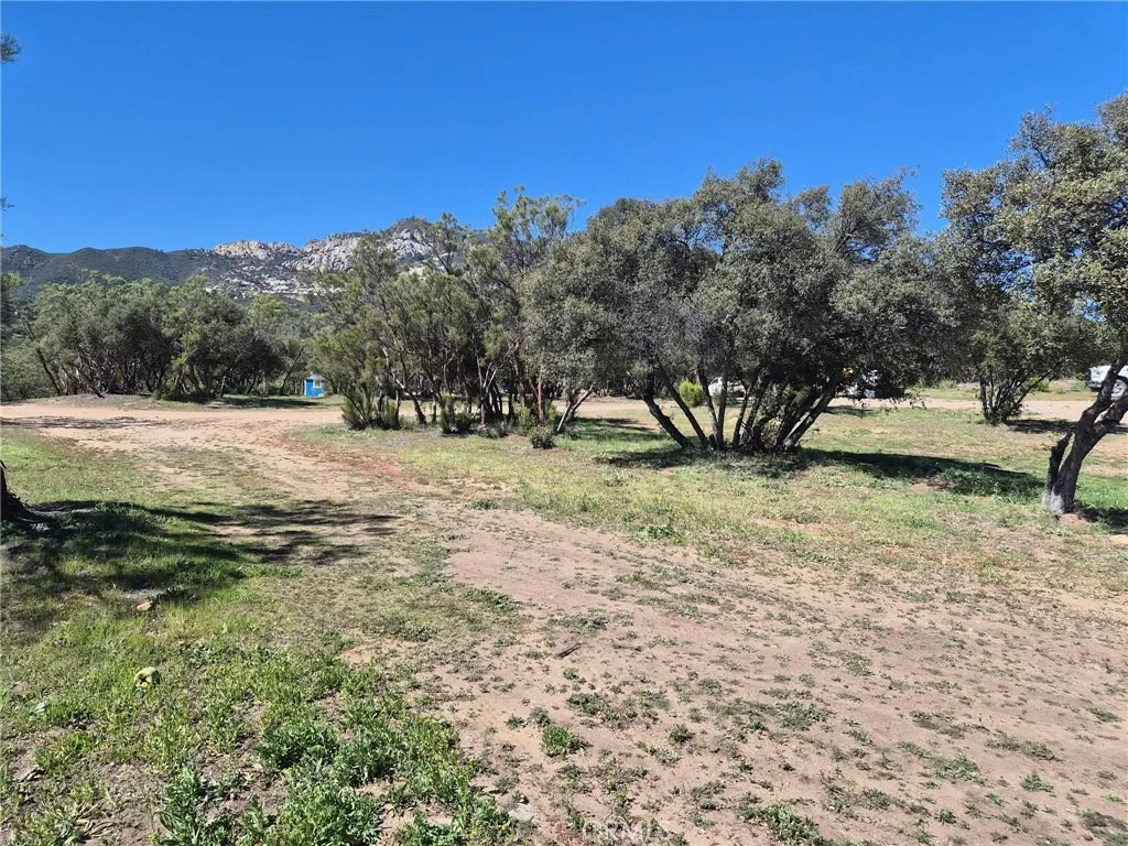 Photo of 38295 Indian Road