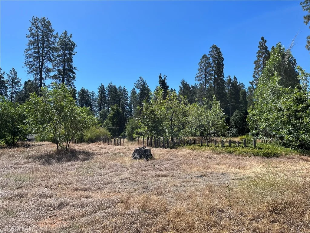 Photo of 1387 Wagstaff Road