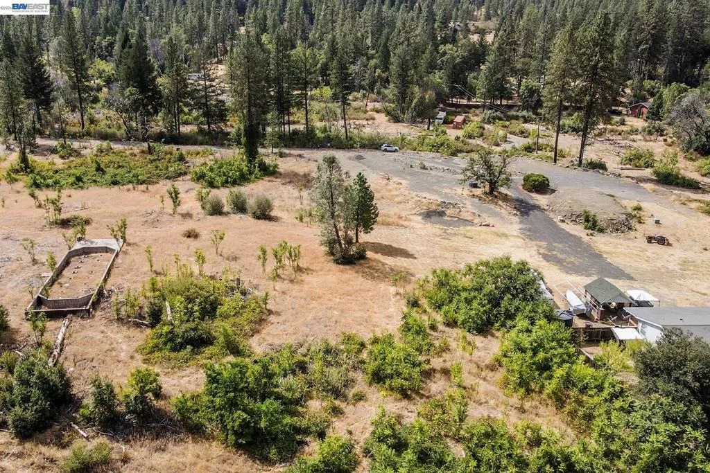 Photo of 303 Bear Springs Rd.