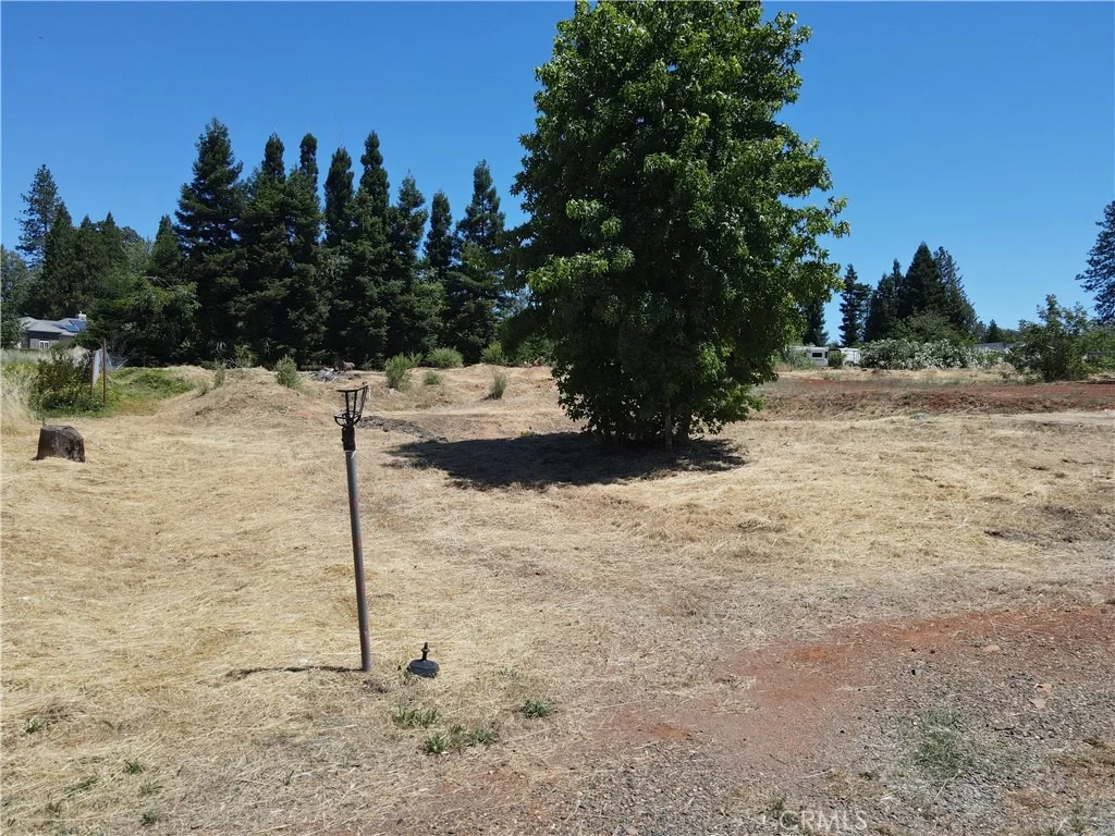 Photo of 1371 Orput