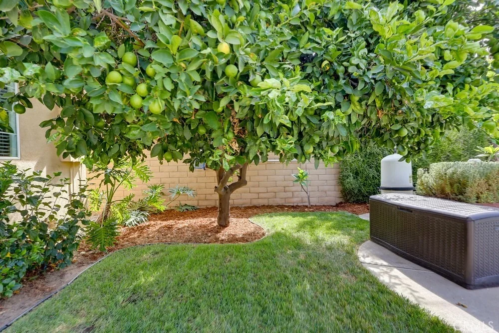 Photo of 4009 Locust Street