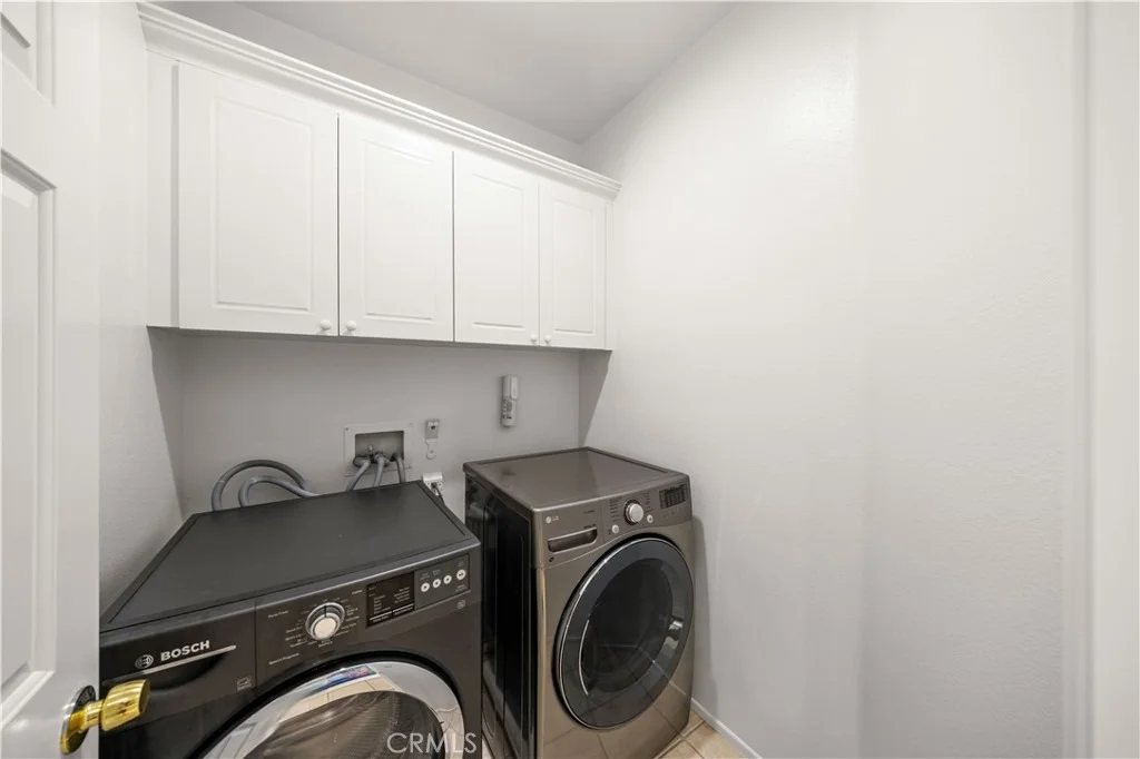 Photo of 7 Hollyleaf
