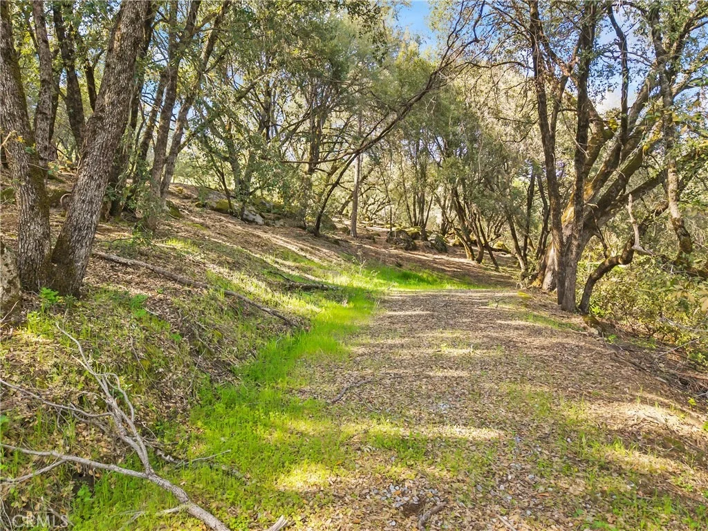 Photo of 1371 Moccasin Trail