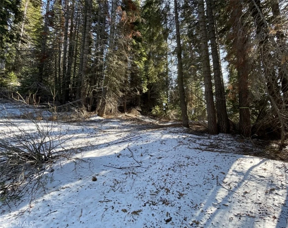 Photo of 57793 Fawn Drive