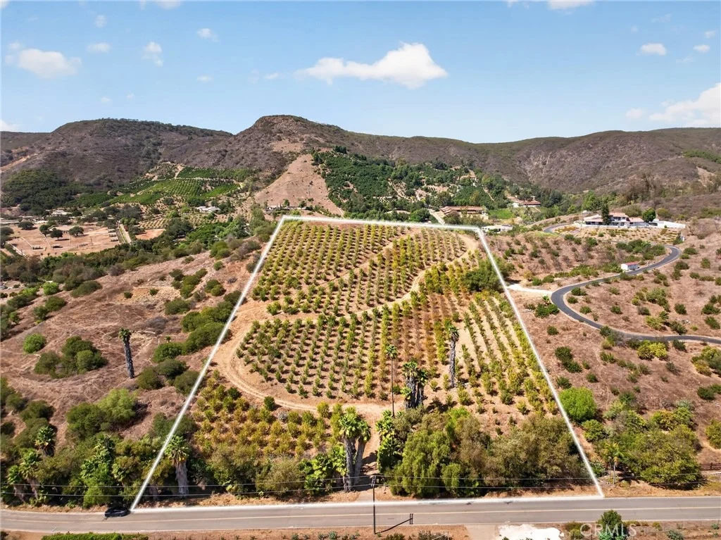 Photo of 16 Terreno