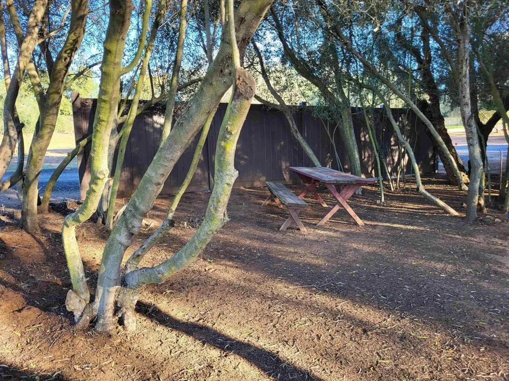 Photo of 616 Alpine Heights-20acres