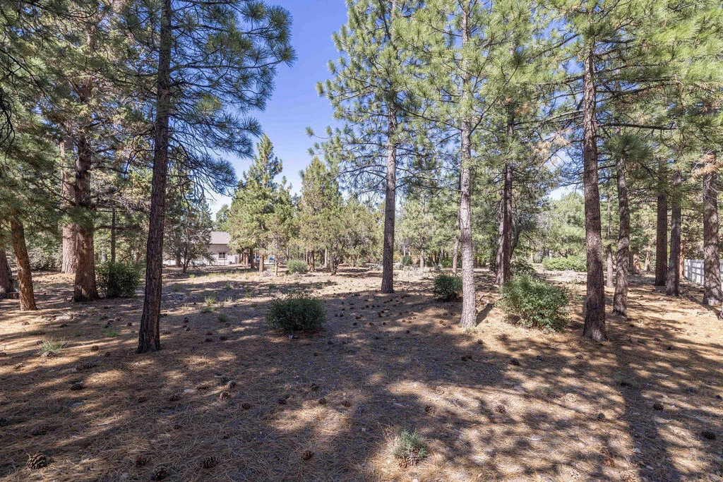 Photo of 655 Cedar Glen Drive