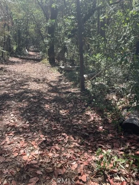 Photo of 12 Broken Springs