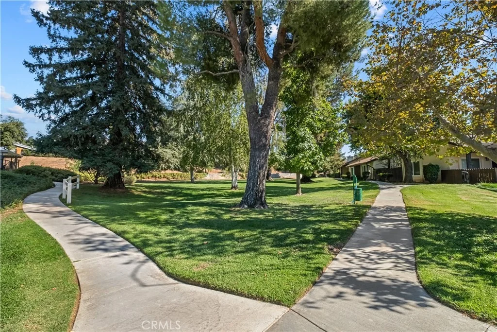 Photo of 36202 Gingertree