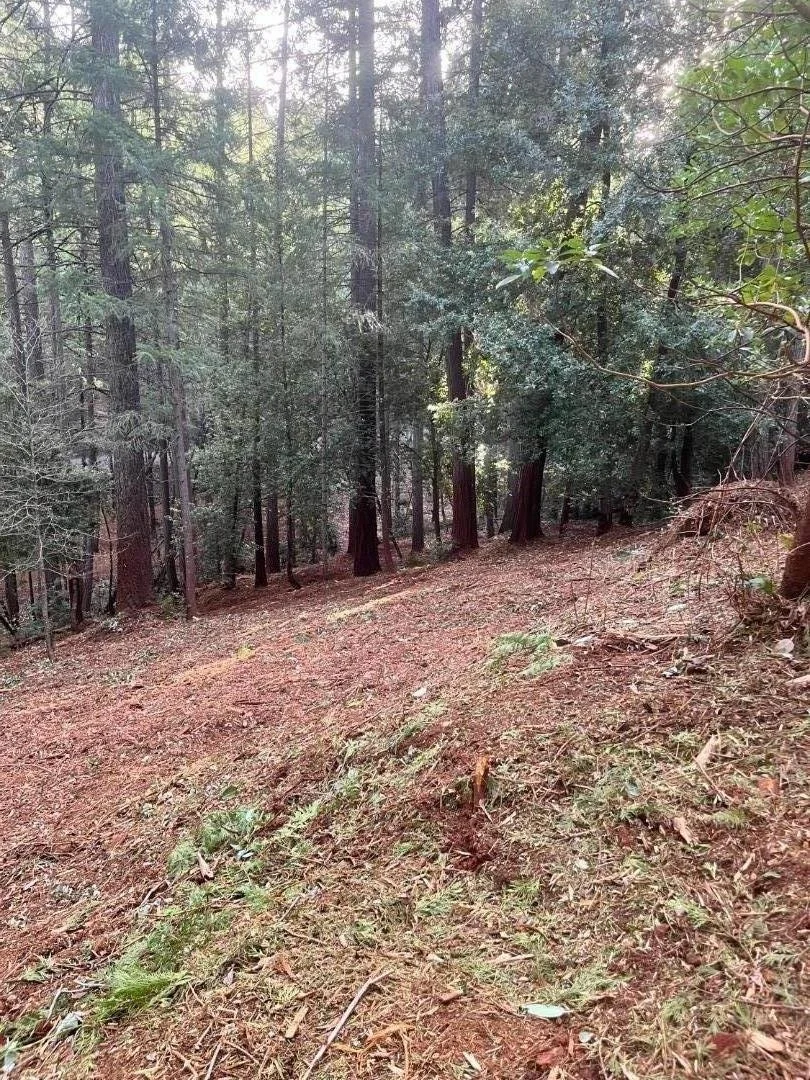 Photo of 2531 Kittywake Lane