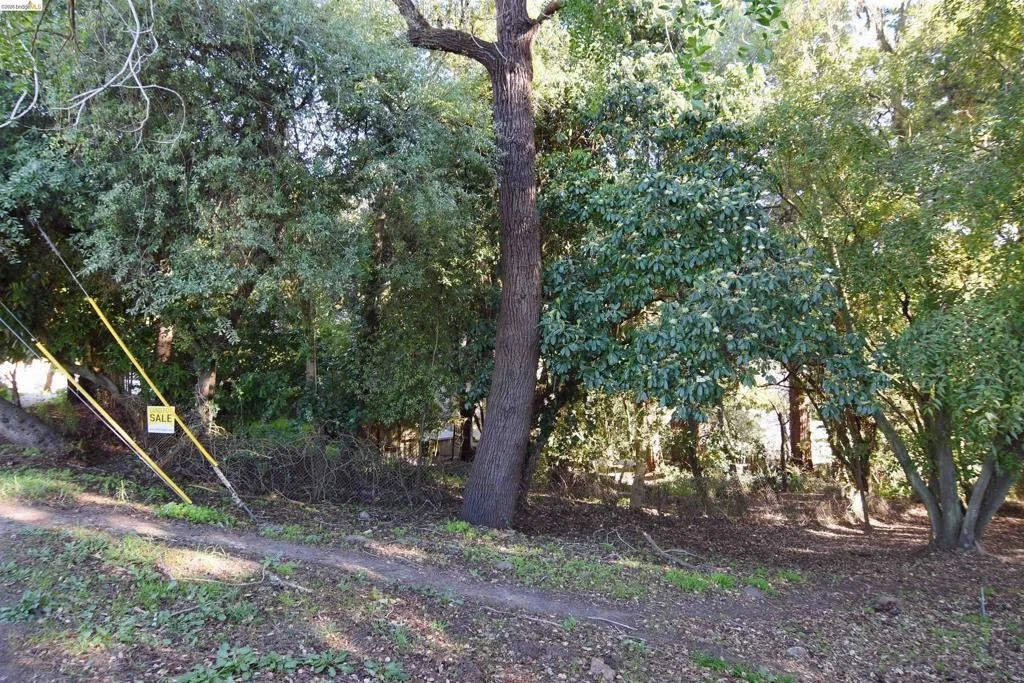 Photo of 962 Regal Rd
