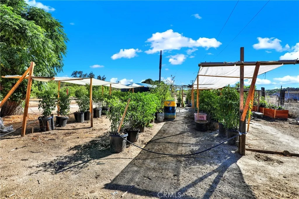 Photo of 39145 Calle Cordova