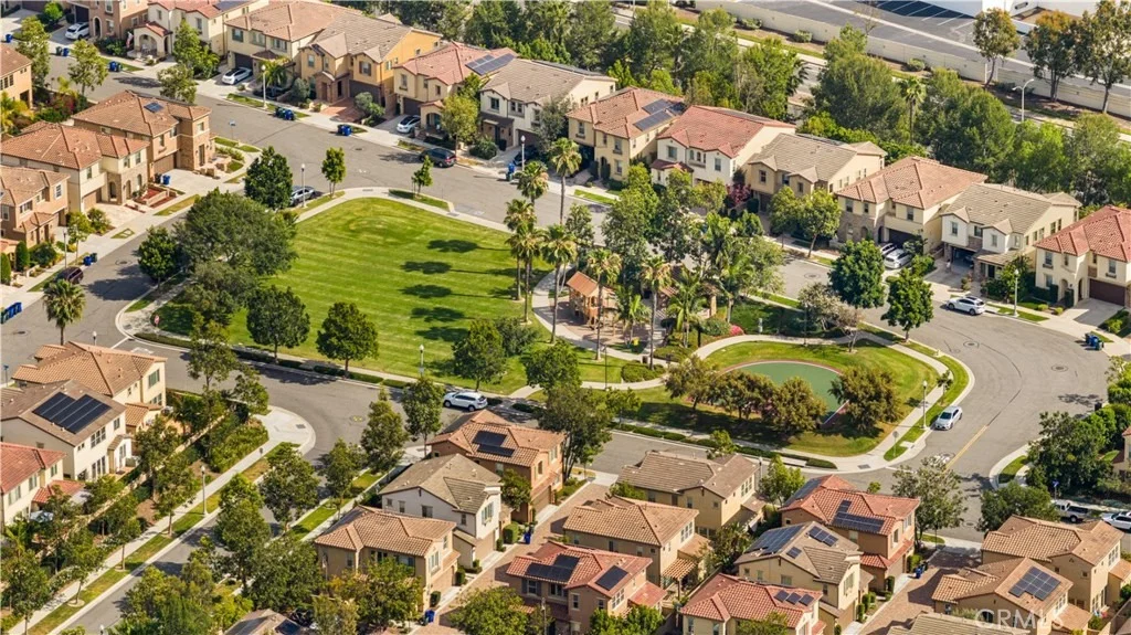 Photo of 15 Calliope