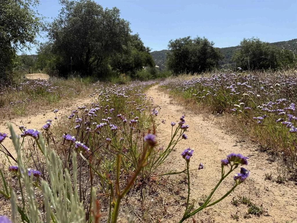 Photo of 0 Mt. Olympus Valley Road