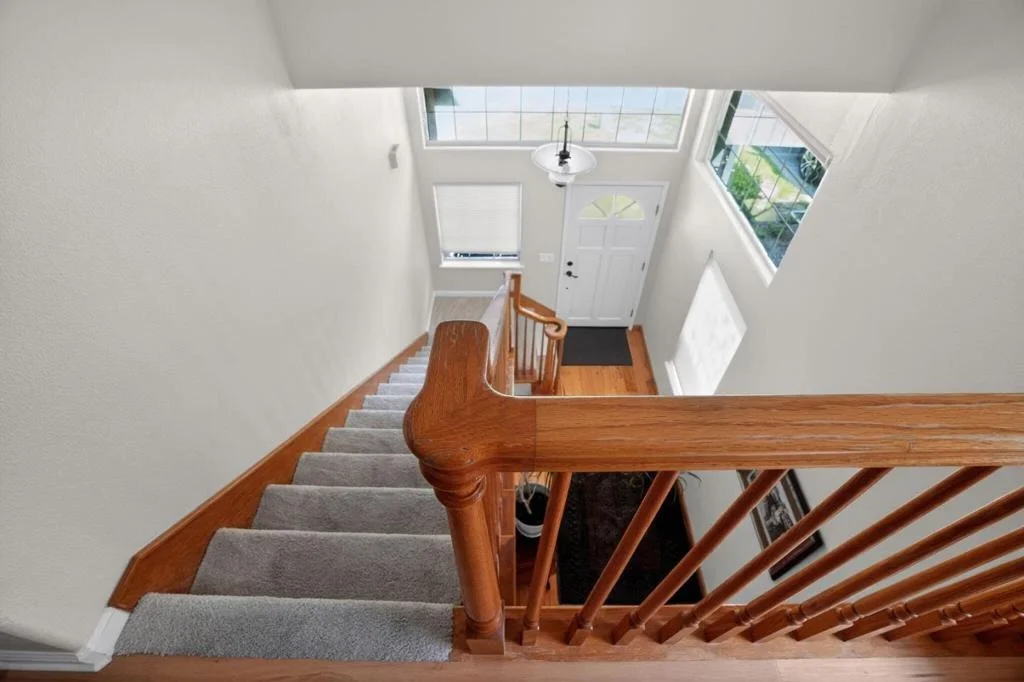 Photo of 37 Silver Birch