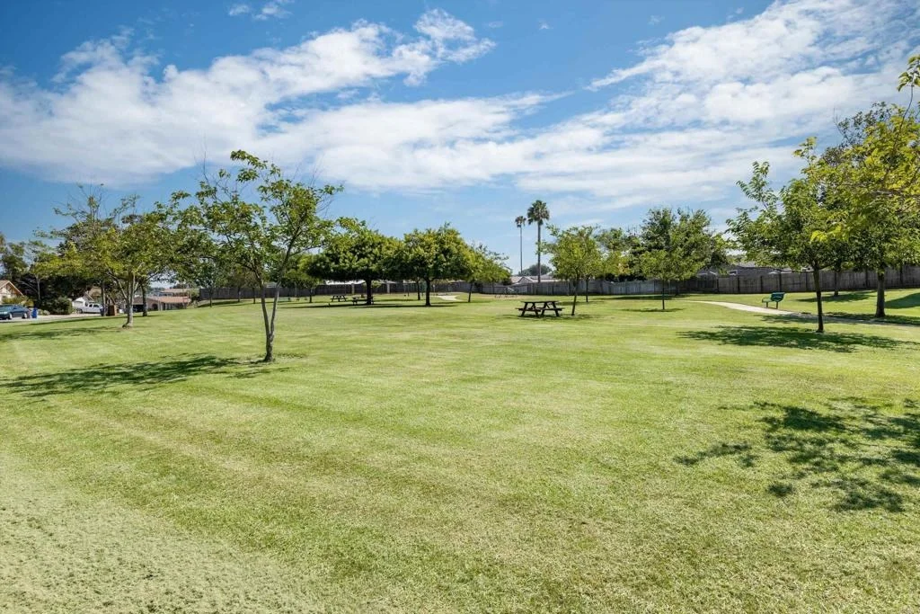 Photo of 538 Shadow Hills Drive