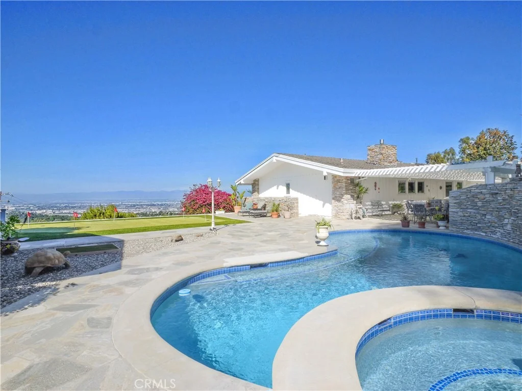 Photo of 49 Saddleback