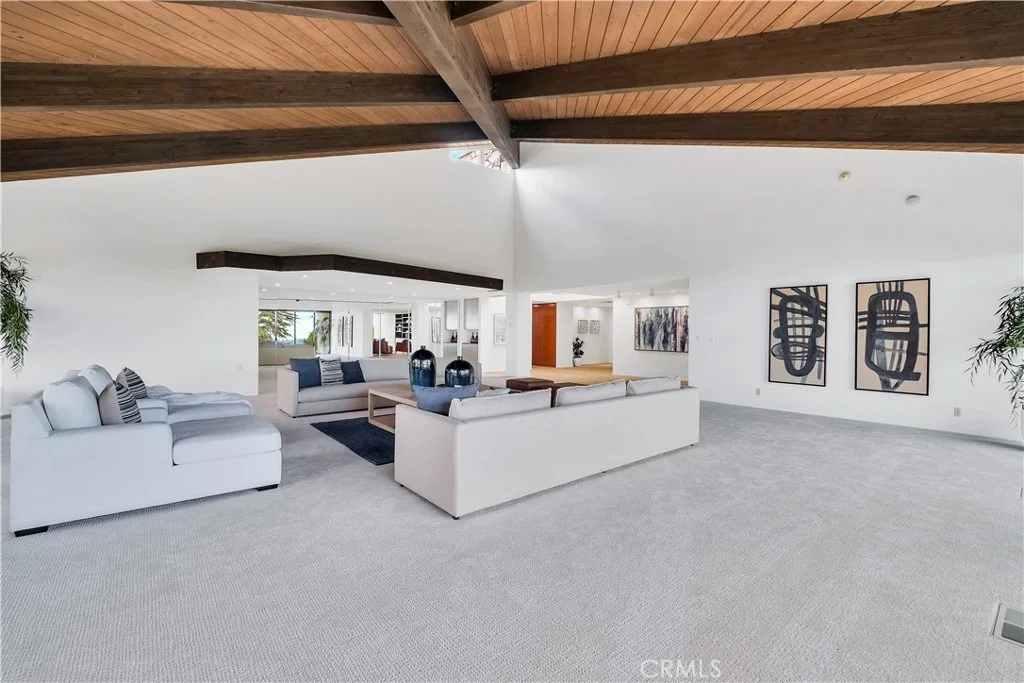 Photo of 57 Saddleback