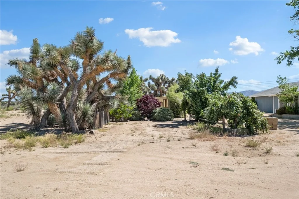 Photo of 10925 Buttonwood