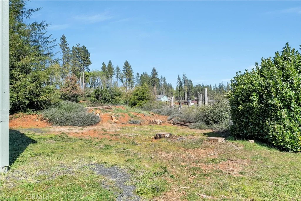 Photo of 6530 Daphne