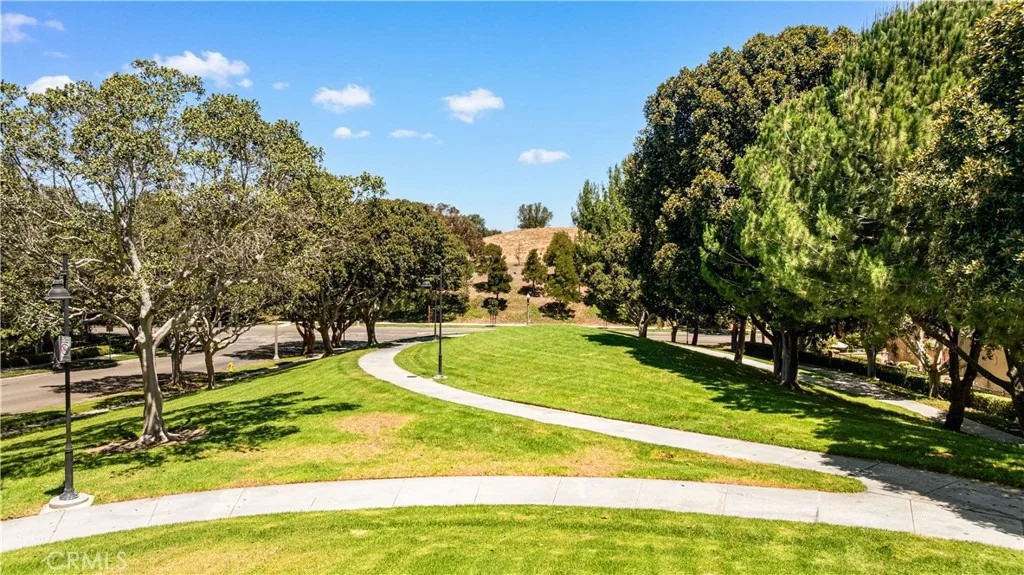 Photo of 97 Canopy