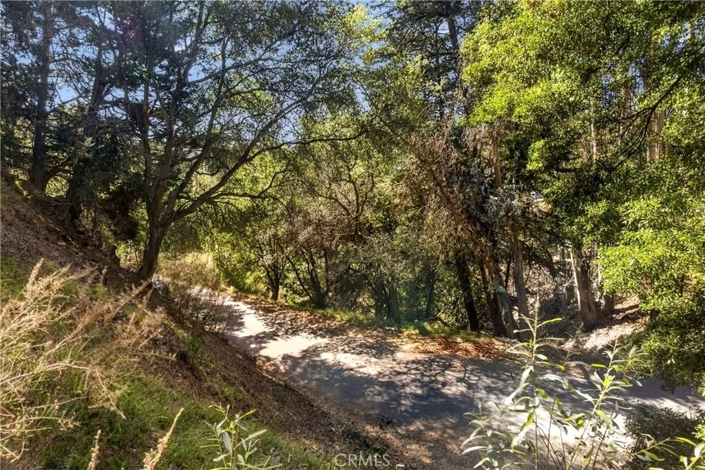 Photo of 6090 Girvin Drive