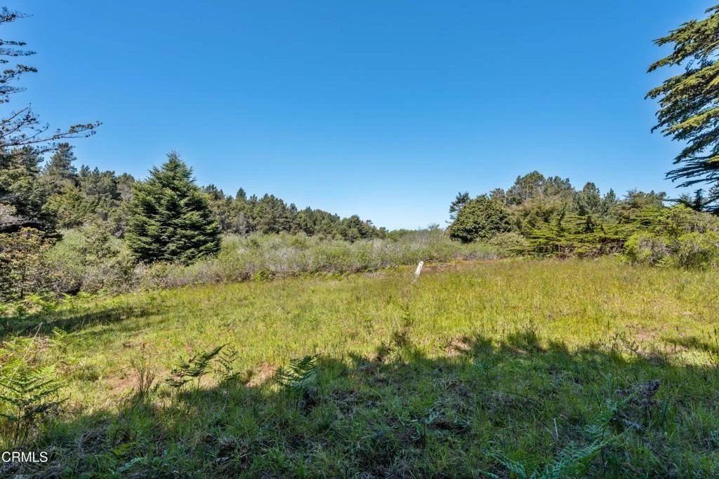 Photo of 26950 California 1