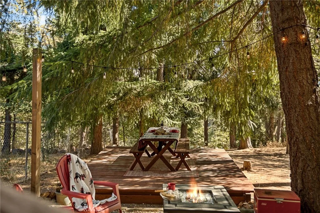 Photo of 471 Willow Witch