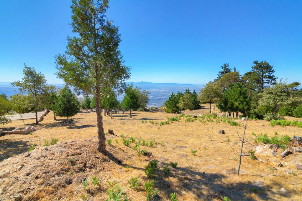 Photo of 26262 Highway 18
