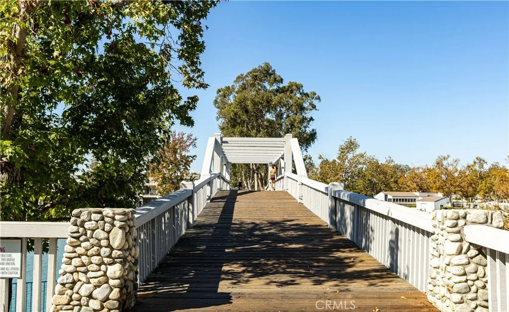 Photo of 446 Fallingstar