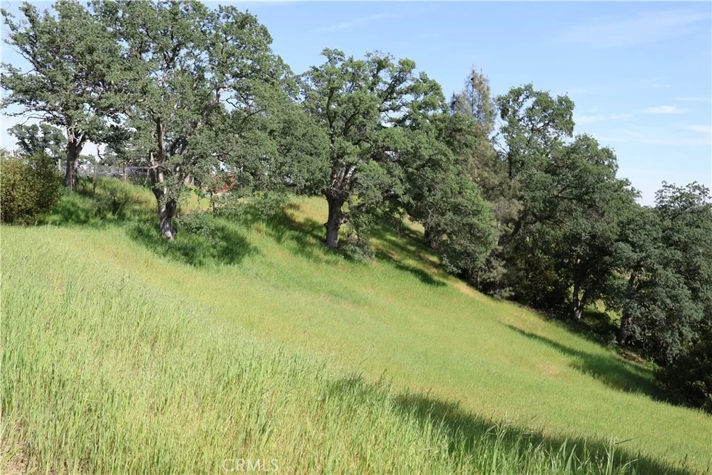 Photo of 7325 Bluebird Rd.