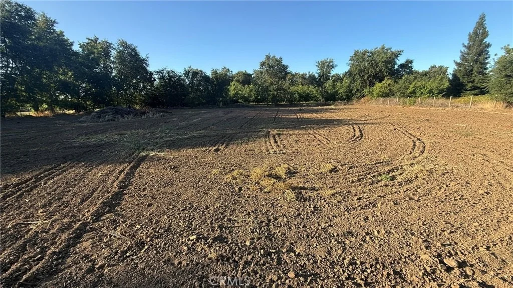 Photo of 707 Justeson