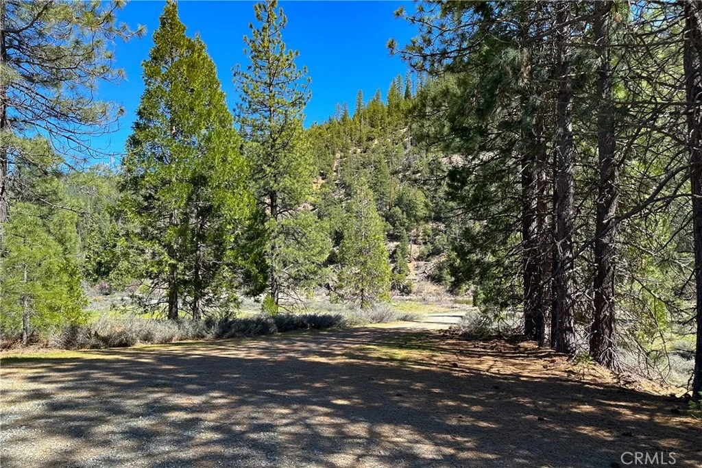 Photo of 79402 State Highway 3